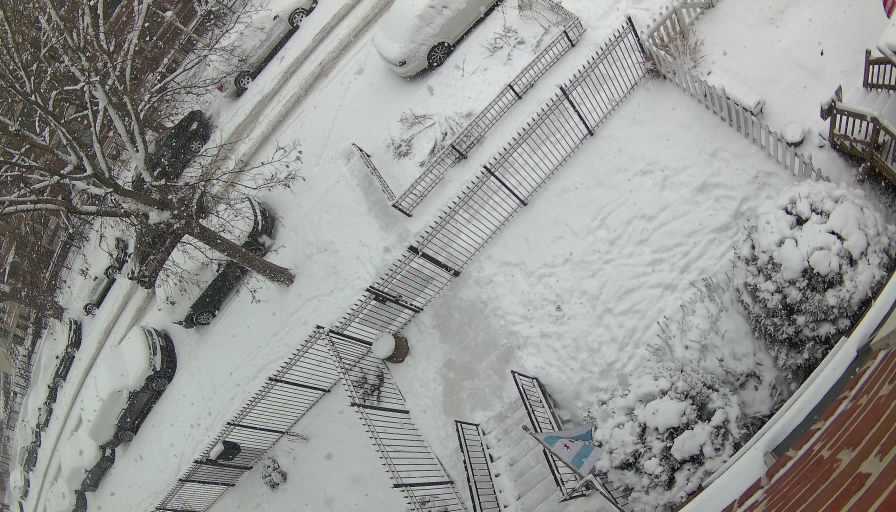 Reolink Camera Two_01_Reolink Home Hub One_20260125112307.jpg